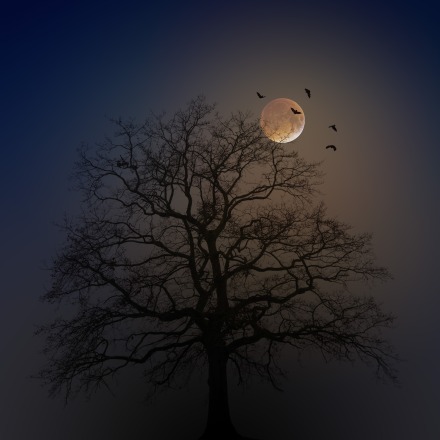 Un arbre dans la lune